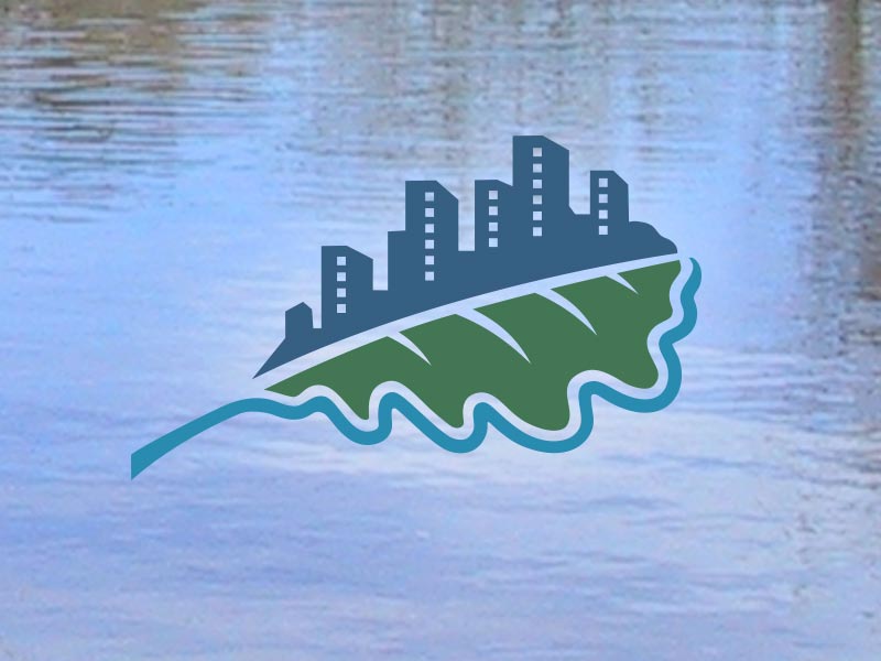 Bayou Preservation Logo